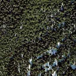 Satellite imagery of Elk Mountain, CA
