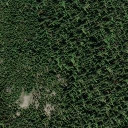Satellite imagery of Grey Mountain, CA