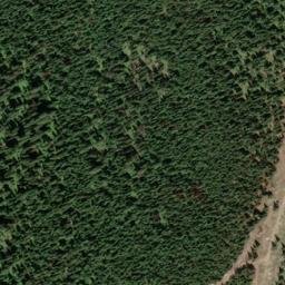 Satellite imagery of Grey Mountain, CA