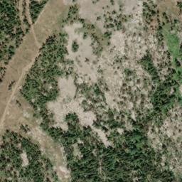 Satellite imagery of Grey Mountain, CA