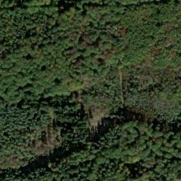 Satellite imagery of Eichbühl, DE