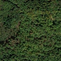 Satellite imagery of Eichbühl, DE