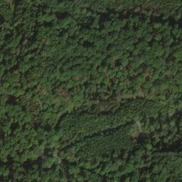 Satellite imagery of Büchelberg, DE