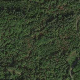 Satellite imagery of Büchelberg, DE