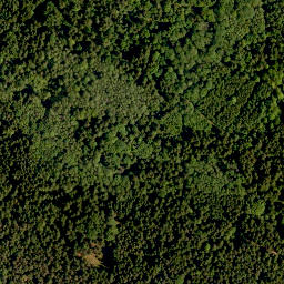 Satellite imagery of TP, CZ