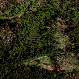 Satellite imagery of LCR, CZ