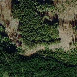 Satellite imagery of Dřevěná hůl [Prášily], CZ