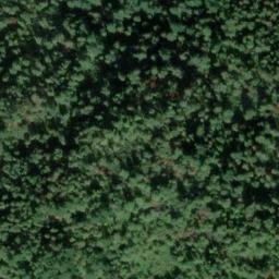 Satellite imagery of survey_point, CA