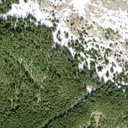 Satellite imagery of Elk Mountain, CA