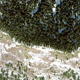Satellite imagery of Elk Mountain, CA