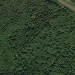 Satellite imagery of Hornbuckel, DE