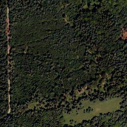 Satellite imagery of Burgruine Hofberg, DE