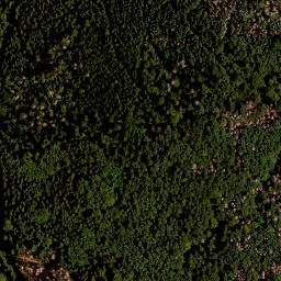 Satellite imagery of LCR, CZ