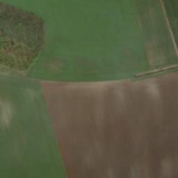 Satellite imagery of Družďavy [Rebešovice], CZ