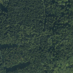 Satellite imagery of voda, PL