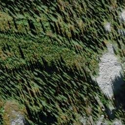 Satellite imagery of Wolf Peak, CA