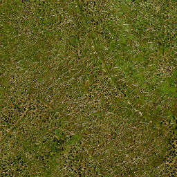 Satellite imagery of 10, DE