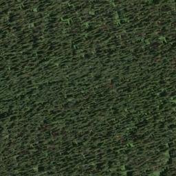 Satellite imagery of Lone Man Ridge, CA