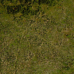 Satellite imagery of 10, DE