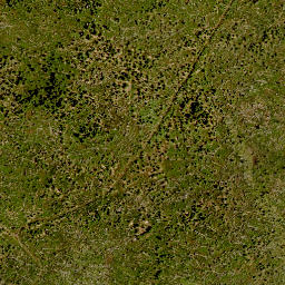 Satellite imagery of 10, DE