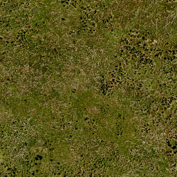 Satellite imagery of 10, DE