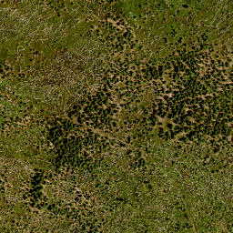 Satellite imagery of 10/2, DE