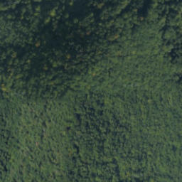 Satellite imagery of kameň, PL