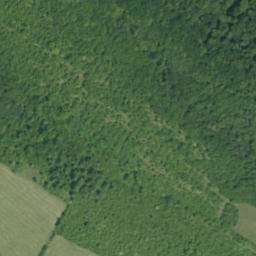 Satellite imagery of survey_point, PL