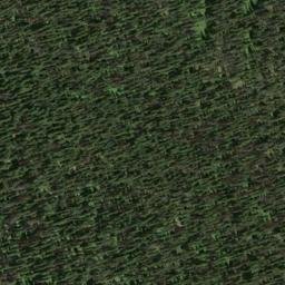 Satellite imagery of Lone Man Ridge, CA