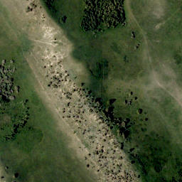 Satellite imagery of Piney Ridge, CA