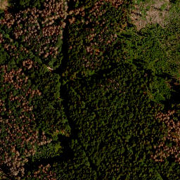 Satellite imagery of TP, CZ