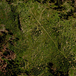 Satellite imagery of TP, CZ