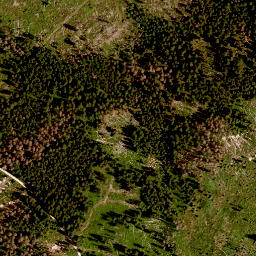 Satellite imagery of Ruckwiesberg, DE