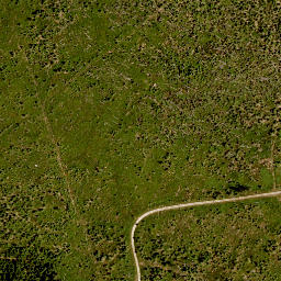 Satellite imagery of TP, CZ