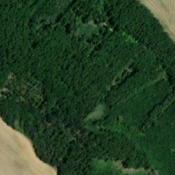 Satellite imagery of Bukovina [Moravské Bránice], CZ