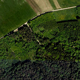 Satellite imagery of Ruppertsberg, DE