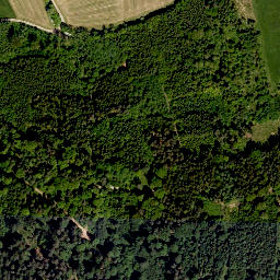 Satellite imagery of Ruppertsberg, DE