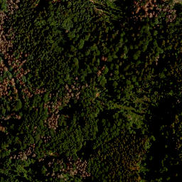 Satellite imagery of Kleiner Falkenstein, DE