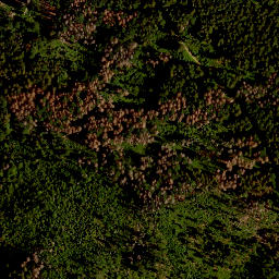 Satellite imagery of TP, CZ