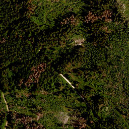 Satellite imagery of TP, CZ