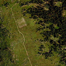 Satellite imagery of TP, CZ