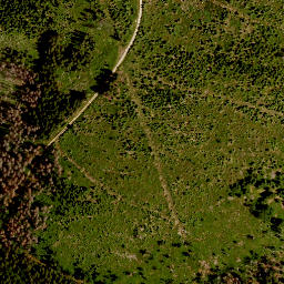 Satellite imagery of TP, CZ