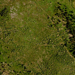 Satellite imagery of TP, CZ