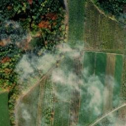 Satellite imagery of Lomec [Libějovice - Nestanice], CZ