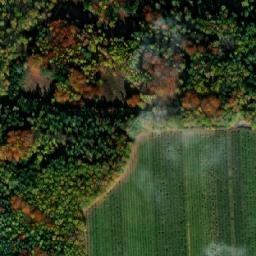 Satellite imagery of Lomec [Libějovice - Nestanice] church t., CZ