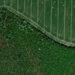 Satellite imagery of Vlčí hora [Nížkovice], CZ