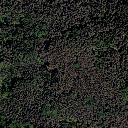 Satellite imagery of Ruppertsberg, DE
