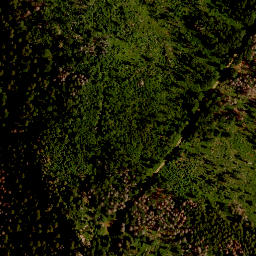 Satellite imagery of Kleiner Falkenstein, DE