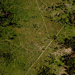 Satellite imagery of Ruckwiesberg, DE