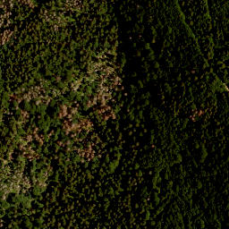 Satellite imagery of TP, CZ